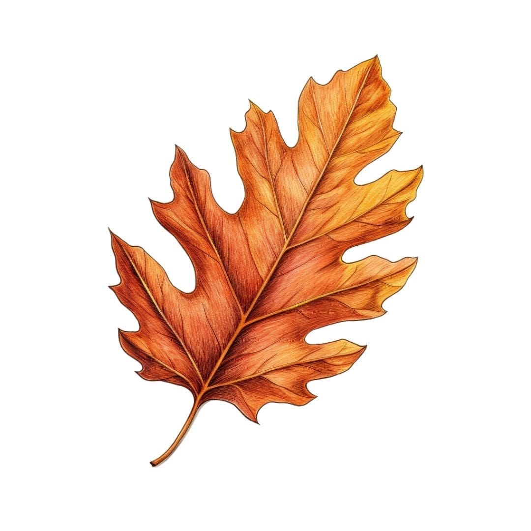 Autumn Stickers - Image 4